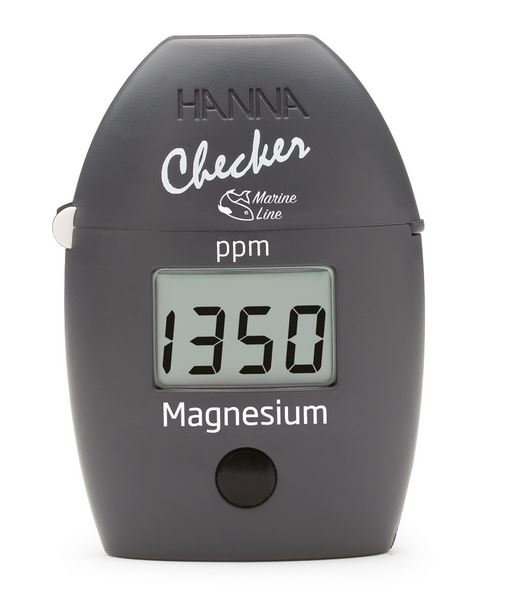TESTUES MARINE MAGNEZI