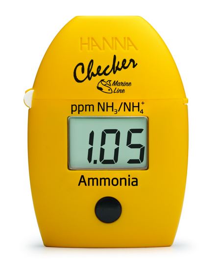 TESTUES MARINE AMONIAKU